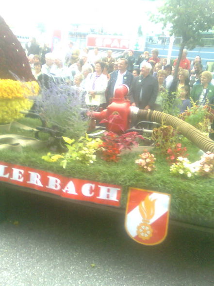 blumenkorso bad schallerbach 09 wor cool - 