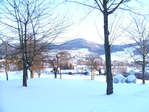 Spaziergang mit meinen Mädels - 