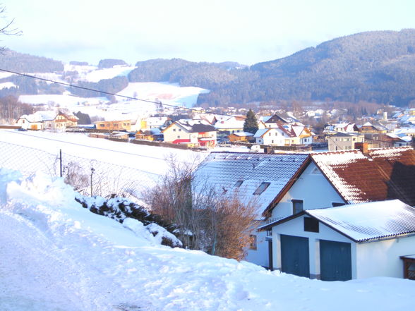 Spaziergang mit meinen Mädels - 