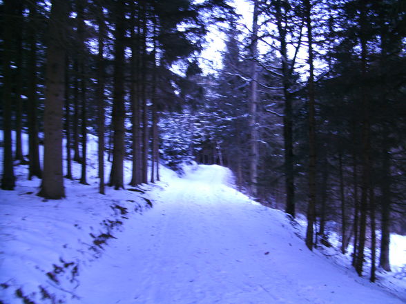 Spaziergang mit meinen Mädels - 