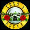 Guns`n Roses are back - 