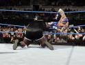 WWE smackdown vs. raw - 