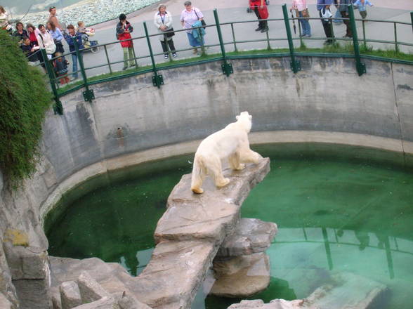 **Familienausflug nach Schönbrunn** - 