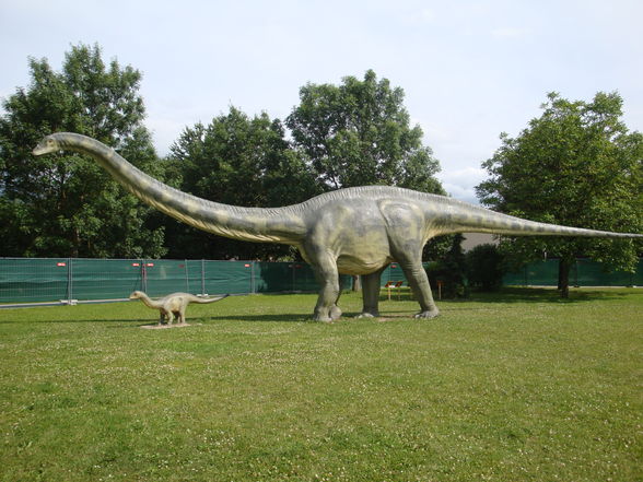 Dinopark - 