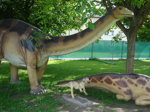 Dinopark - 