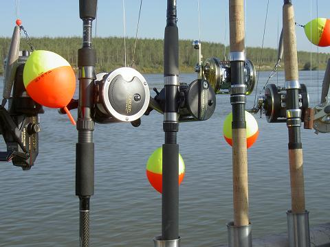 Flyfishing and Fishing - 