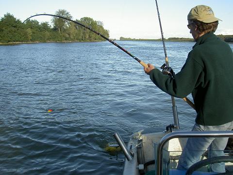 Flyfishing and Fishing - 