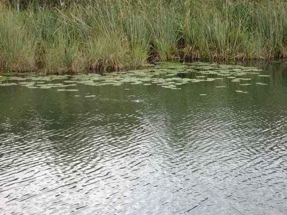 Fischen am Kleinsee (Aug 2007) - 