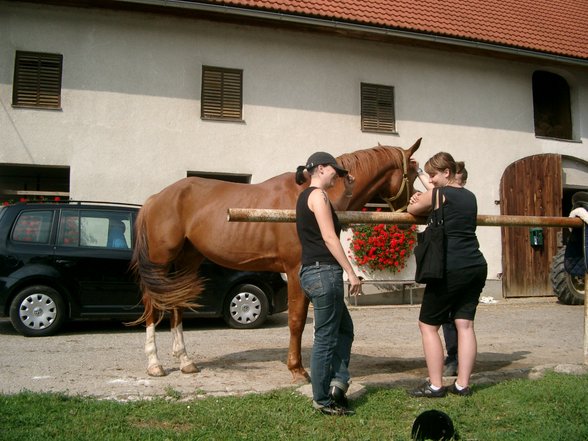 Etwas für Nati - 