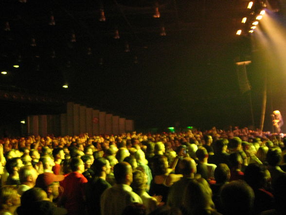 Status Quo Konzert - 