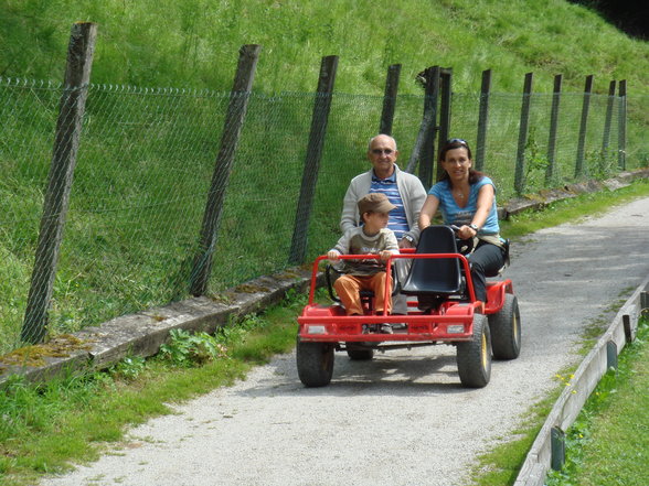 Im Tierpark Schmieding  - 