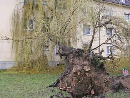 Sturmtief "EMMA" über Österreich - 