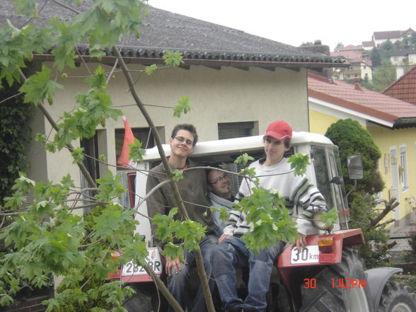 maibaum aufstellen 2009 - 