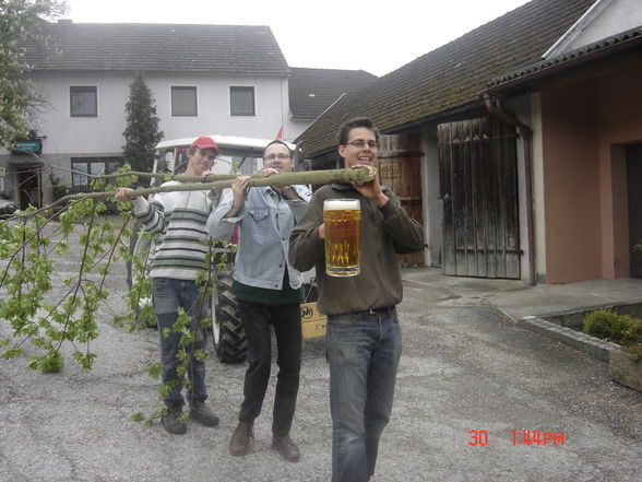 maibaum aufstellen 2009 - 