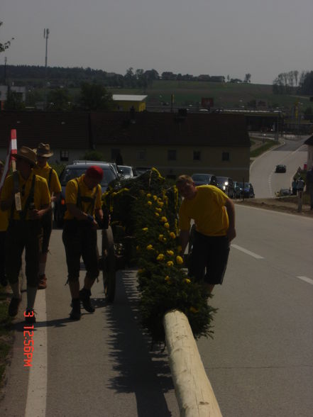 maibaum aufstellen 2009 - 