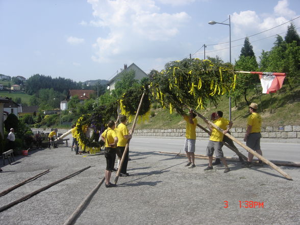 maibaum aufstellen 2009 - 