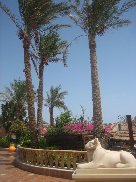 Ägypten - Sharm el Sheik - 