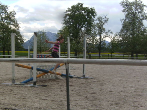 MÄDLS und Tiere vom STALL - 