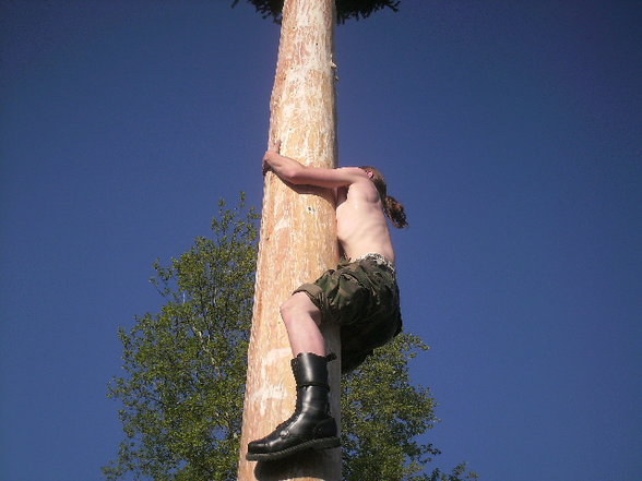 maibaum auFstelLen :D - 