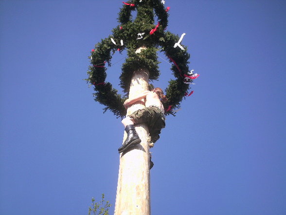 maibaum auFstelLen :D - 