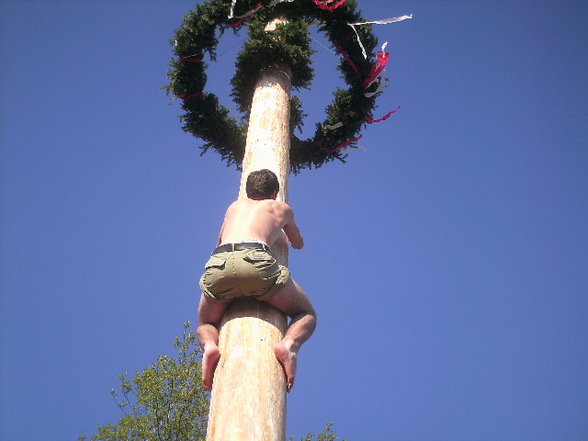 maibaum auFstelLen :D - 