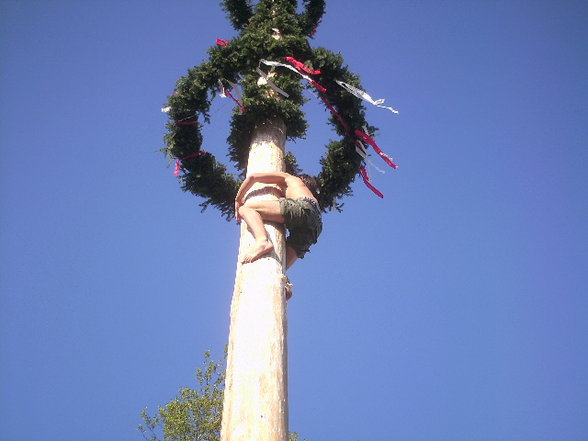 maibaum auFstelLen :D - 