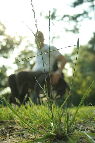 Fotoshooting - 