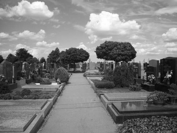 Graveyard - 