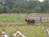 Sri Lanka 2007 - 