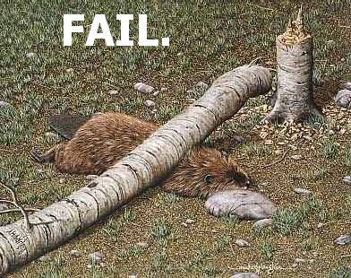 FAIL ! - 