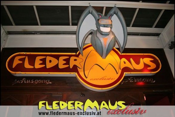 Fledermaus - 