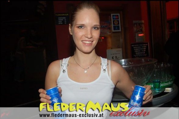 Fledermaus - 