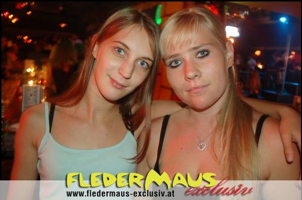 Fledermaus - 