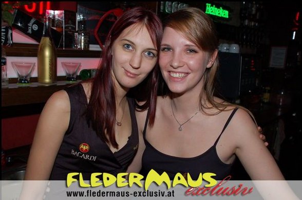 Fledermaus - 