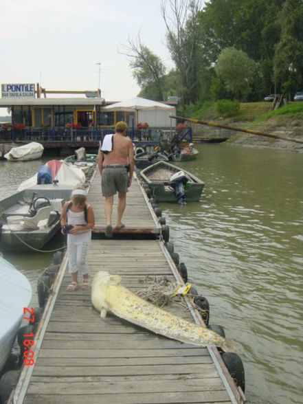 Po Delta Fischen 2008 - 