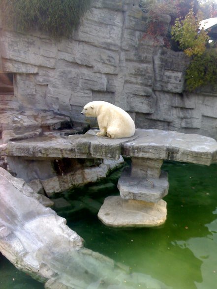 TierParkSchönbrunn - 