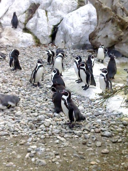 TierParkSchönbrunn - 