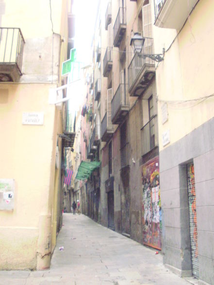 ~~ Barcelona 2009 ~~ - 