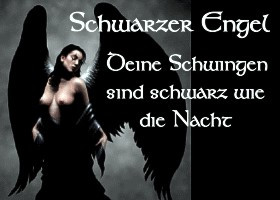 so scheiße sochn hoid!!  - 