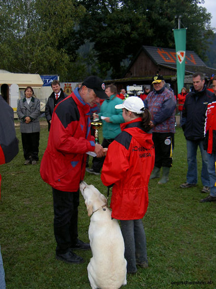 Landesverbands-Tunier - 