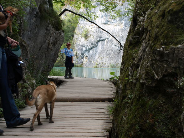 Plitvice Seen - 