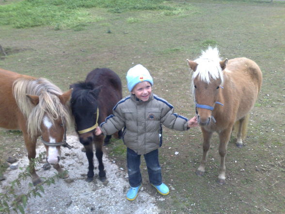 Fabian und seine Ponys!!! - 