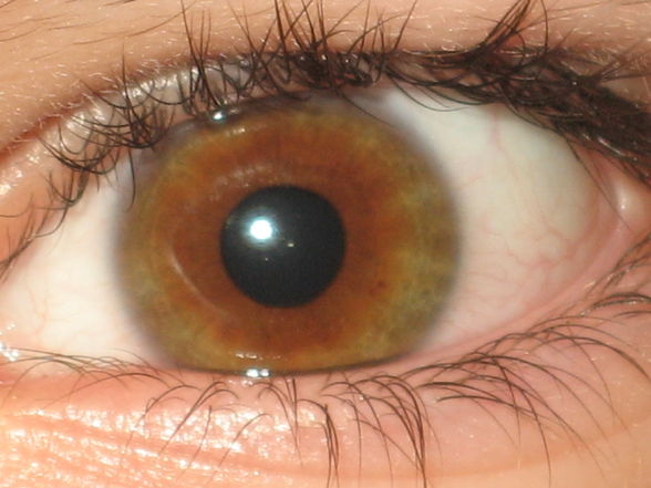 Augen von Blau bis gmischt :) - 