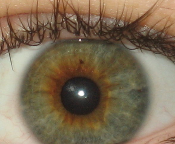 Augen von Blau bis gmischt :) - 