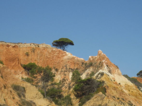 Férias em Portugal - 