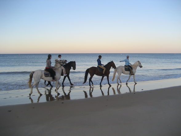 Férias em Portugal - 