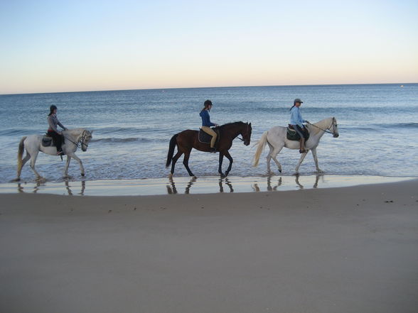 Férias em Portugal - 