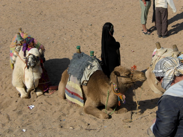  Urlaubsbilder Ägypten - 