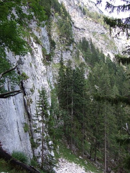 070815 Hochlecken - 