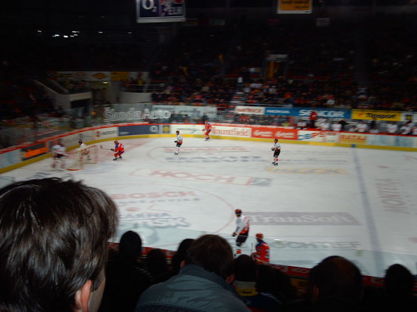 Eishockey - 